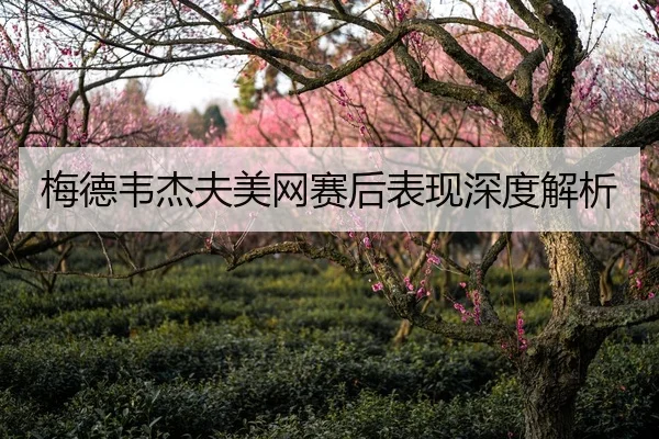 梅德韦杰夫美网赛后表现深度解析